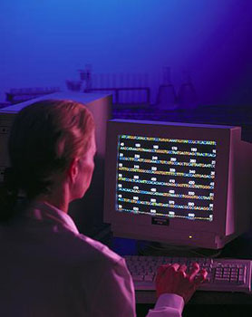 Man Working on Computer - Electronic Waste Disposal